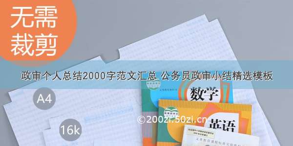 政审个人总结2000字范文汇总 公务员政审小结精选模板