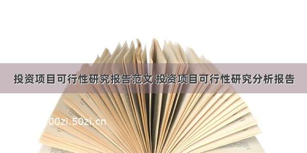 投资项目可行性研究报告范文 投资项目可行性研究分析报告