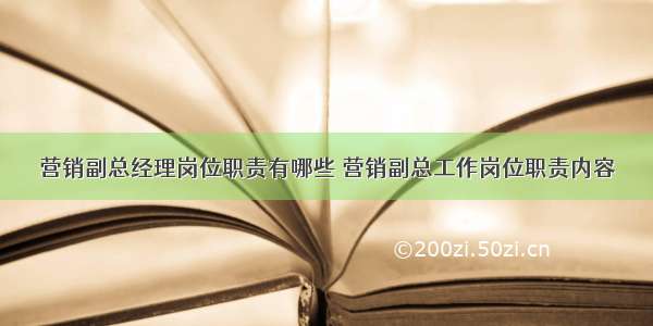 营销副总经理岗位职责有哪些 营销副总工作岗位职责内容