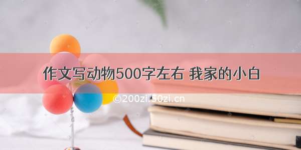 作文写动物500字左右 我家的小白