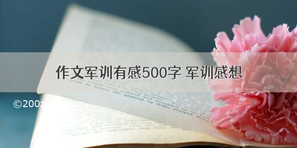 作文军训有感500字 军训感想