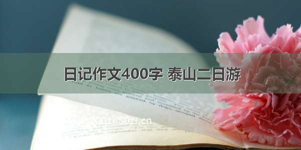 日记作文400字 泰山二日游