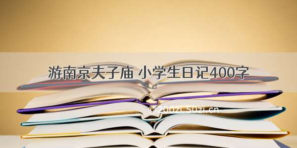 游南京夫子庙 小学生日记400字