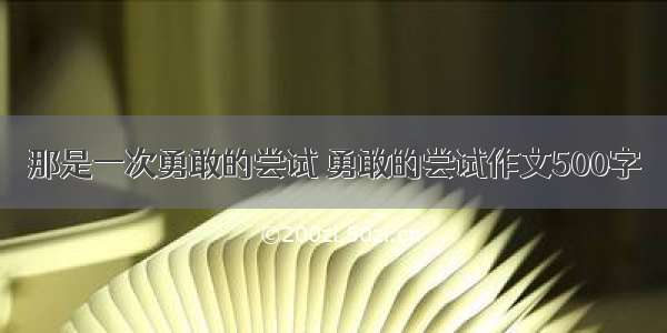 那是一次勇敢的尝试 勇敢的尝试作文500字