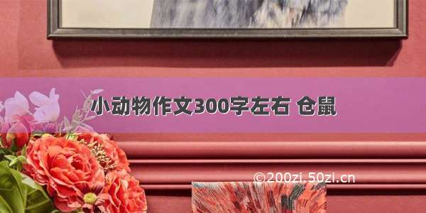 小动物作文300字左右 仓鼠