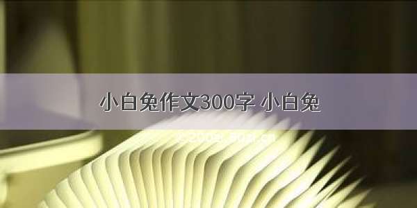 小白兔作文300字 小白兔