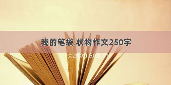 我的笔袋 状物作文250字