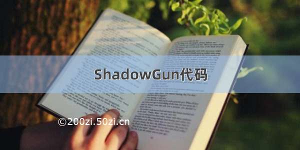 ShadowGun代码