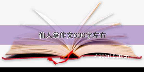 仙人掌作文600字左右