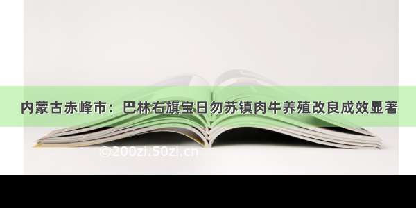 内蒙古赤峰市：巴林右旗宝日勿苏镇肉牛养殖改良成效显著