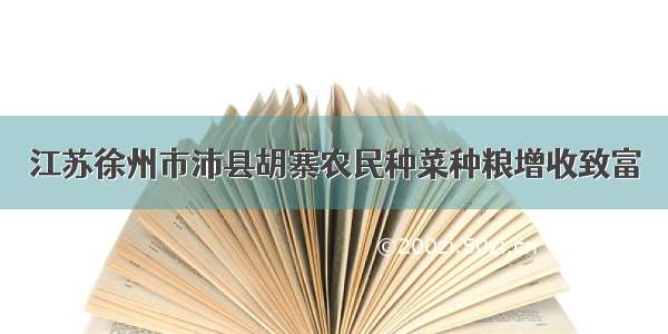 江苏徐州市沛县胡寨农民种菜种粮增收致富