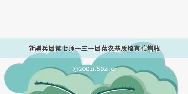 新疆兵团第七师一三一团菜农基质培育忙增收