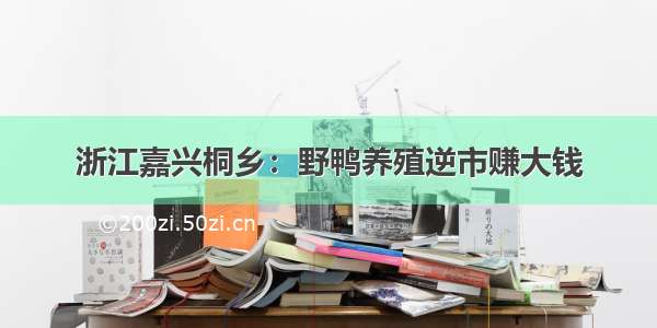 浙江嘉兴桐乡：野鸭养殖逆市赚大钱