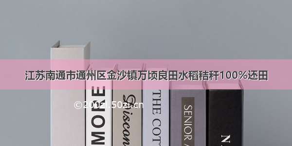 江苏南通市通州区金沙镇万顷良田水稻秸秆100%还田