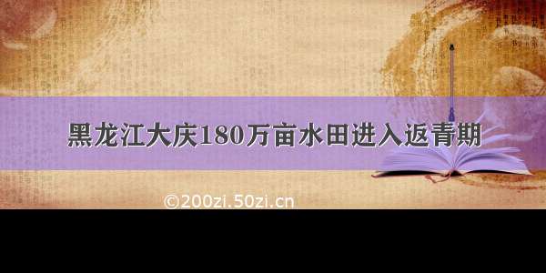 黑龙江大庆180万亩水田进入返青期