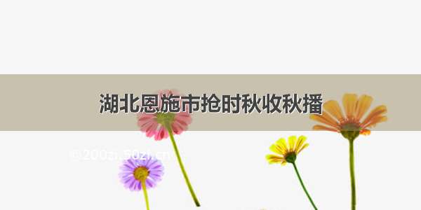 湖北恩施市抢时秋收秋播