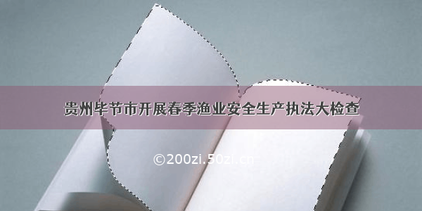 贵州毕节市开展春季渔业安全生产执法大检查