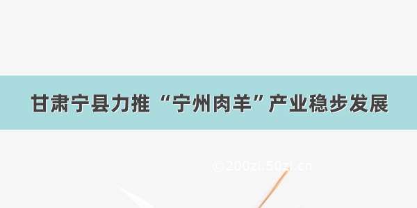 甘肃宁县力推 “宁州肉羊”产业稳步发展