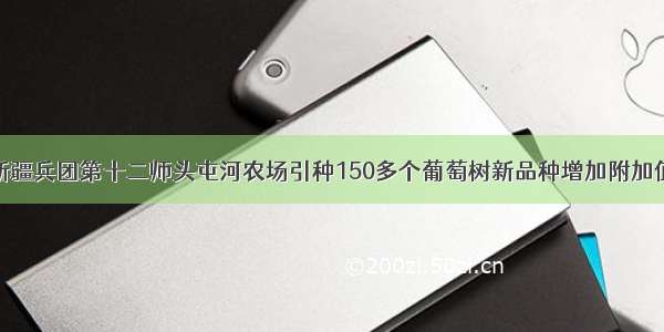 新疆兵团第十二师头屯河农场引种150多个葡萄树新品种增加附加值