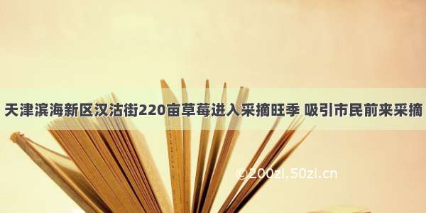 天津滨海新区汉沽街220亩草莓进入采摘旺季 吸引市民前来采摘