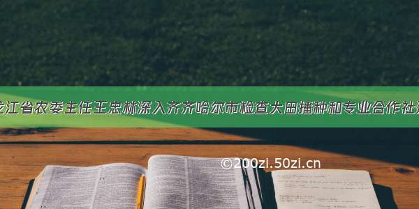 黑龙江省农委主任王忠林深入齐齐哈尔市检查大田播种和专业合作社建设