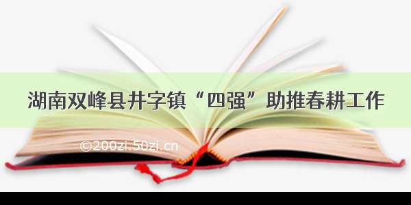 湖南双峰县井字镇“四强”助推春耕工作