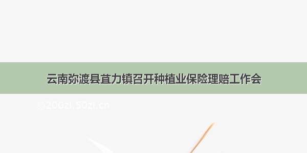 云南弥渡县苴力镇召开种植业保险理赔工作会