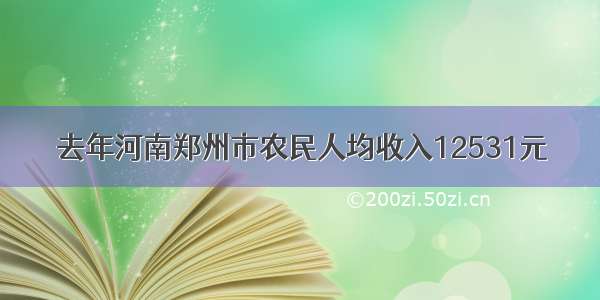 去年河南郑州市农民人均收入12531元