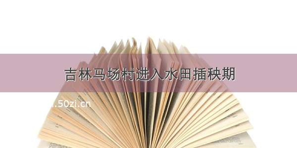 吉林马场村进入水田插秧期