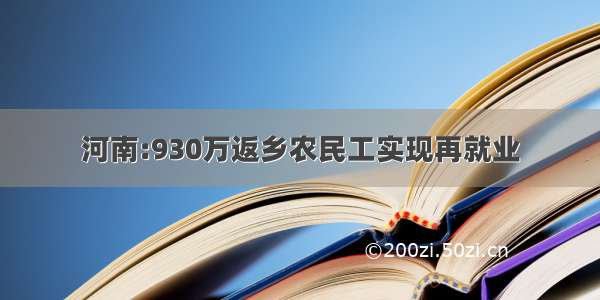 河南:930万返乡农民工实现再就业