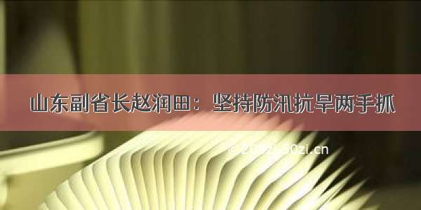 山东副省长赵润田：坚持防汛抗旱两手抓