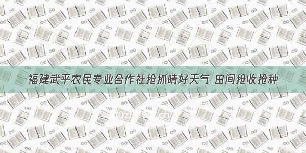 福建武平农民专业合作社抢抓晴好天气 田间抢收抢种