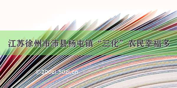 江苏徐州市沛县杨屯镇“三化”农民幸福多