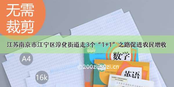 江苏南京市江宁区淳化街道走3个“1+1”之路促进农民增收