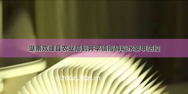 湖南双峰县农业局到井字镇指导稻水象甲防控