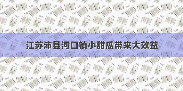 江苏沛县河口镇小甜瓜带来大效益