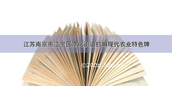 江苏南京市江宁区淳化街道打响现代农业特色牌