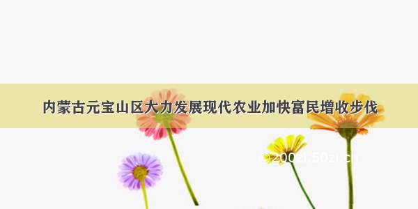 内蒙古元宝山区大力发展现代农业加快富民增收步伐