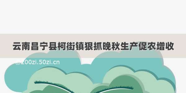 云南昌宁县柯街镇狠抓晚秋生产促农增收