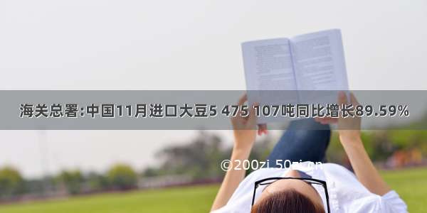 海关总署:中国11月进口大豆5 475 107吨同比增长89.59%