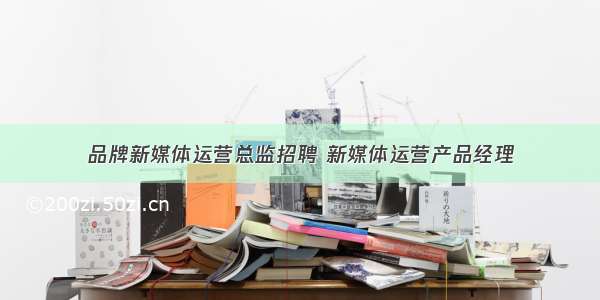 品牌新媒体运营总监招聘 新媒体运营产品经理