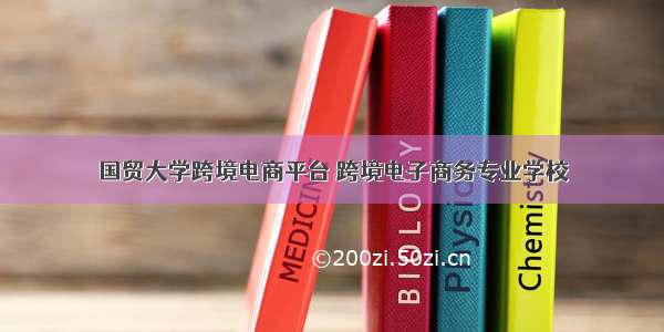 国贸大学跨境电商平台 跨境电子商务专业学校