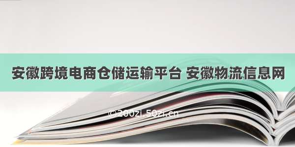 安徽跨境电商仓储运输平台 安徽物流信息网