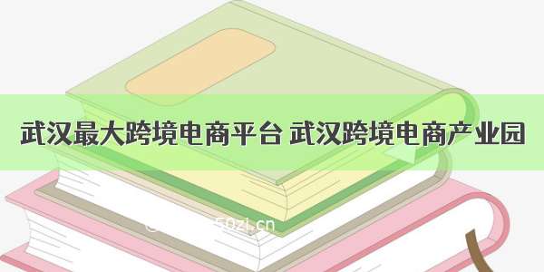 武汉最大跨境电商平台 武汉跨境电商产业园