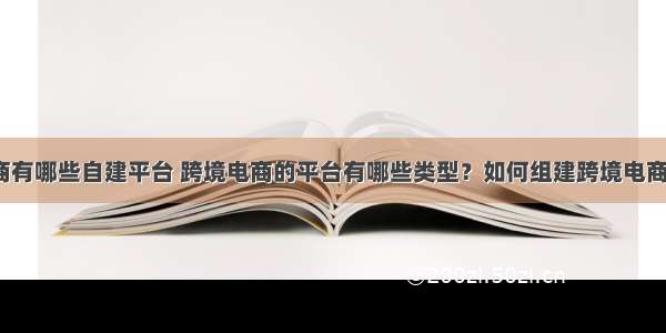 跨境电商有哪些自建平台 跨境电商的平台有哪些类型？如何组建跨境电商的公司？