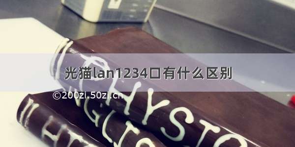 光猫lan1234口有什么区别