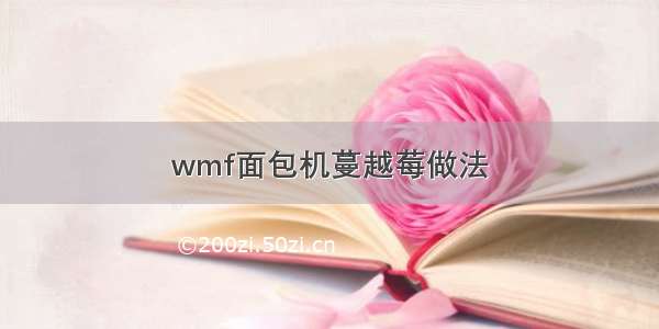 wmf面包机蔓越莓做法