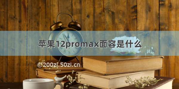 苹果12promax面容是什么