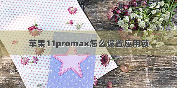 苹果11promax怎么设置应用锁