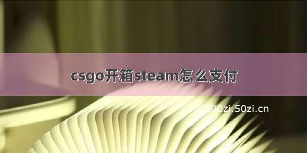 csgo开箱steam怎么支付